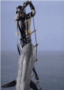 batman fighting a shark