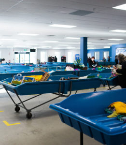 Impact Centre 2