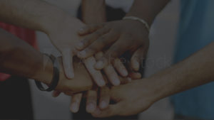Community