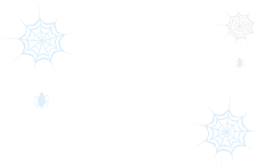 SpiderWeb 1