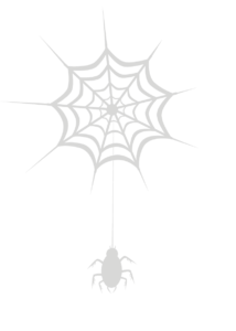 TransparentSpider