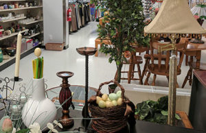 Goodwill Home