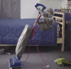 clean up cleaning GIF by Bubble Witch downsized