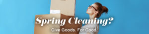 Web Banner Spring Cleaning