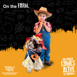 halloween 2020 farmer dog