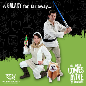 halloween 2020 star wars dog