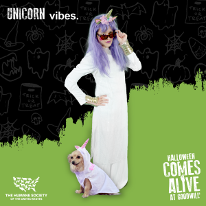 halloween 2020 unicorn dog