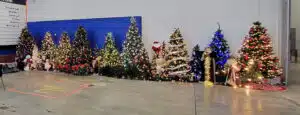Trees 2