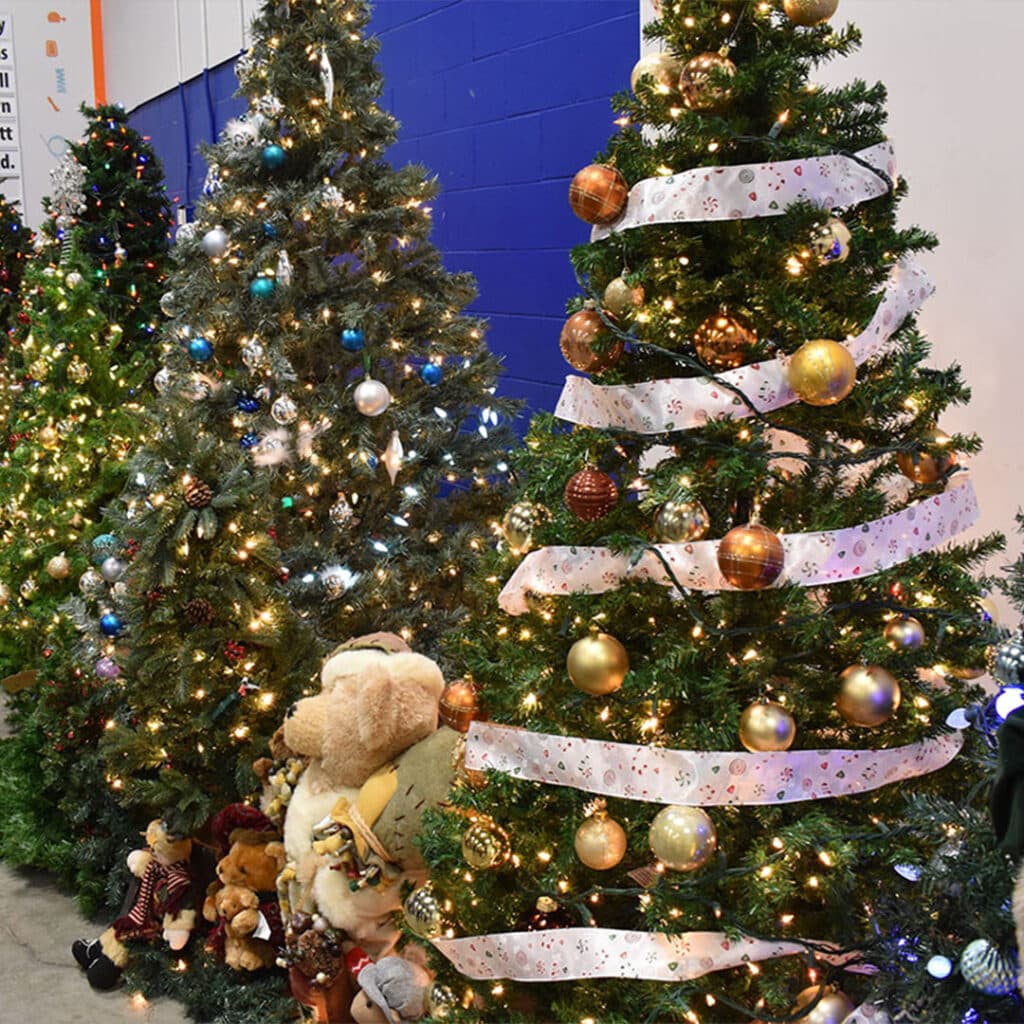 Christmas Tree Auction 5 Trees IG