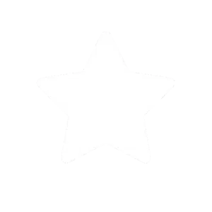 Icon Brand copy