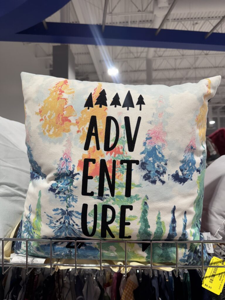 Sustainable & Affordable Thrift Gift Ideas from Goodwill Alberta 3 Throw pillow with 'ADVENTURE' text found at Goodwill SouthPark